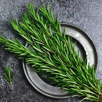 Rosemary BV