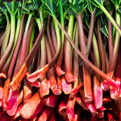 Rhubarb BV